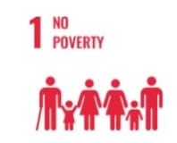 SDG 1