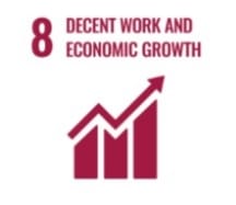 SDG 8